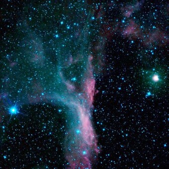 swooner rather than hater