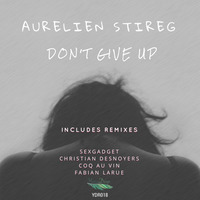 Aurelien Stireg - Don't Give Up (Original Mix) Preview by Aurelien Stireg