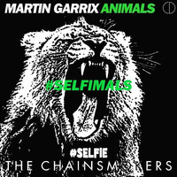 #SELFIMALS (CD Mashup) by DJ CD