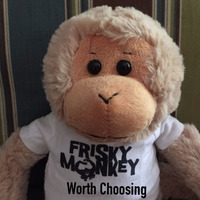 Worth Choosing (Vital Remix) by Frisky Monkey