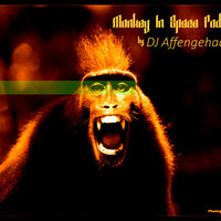 DJ Affengehacktes - [Monkey in Space Podcast] November 2014 (now downloadable) by HANKY (Frankfurt) (ja ich war DJ Affengehacktes)