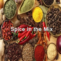 Spice In The Mix by Alan Hamilton