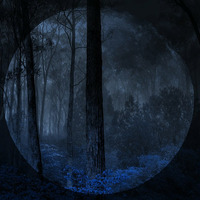 Under the pale blue moon by Wolves and Horses