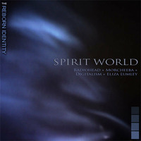 The Reborn Identity - Spirit World (Radiohead vs Morcheeba vs Digitalism) by The Reborn Identity