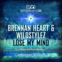 Blasterjaxx &amp; Brennan Heart - Lose My Big Mind (DJ - Marco Meibom Mashup) by DJ-Marco Meibom