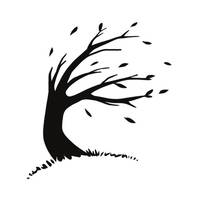 Transcendence by The Sound Track Tree