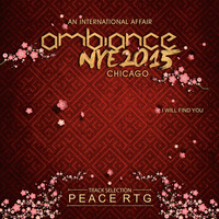 I Will Find You - Ambiance NYE 2015 by Peace Rtg