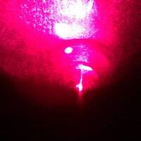 Life Cycle - A Sound Installation by Sanara Creations