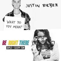 Bieber VS Diplo &amp; Sleepy Tom -What Do You Mean Right There? (Brali Mashup) by Brali