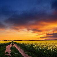 Grenzpunkt Null. Dream No. 9 oder Ein Vorgang im Wetter des Herzens.