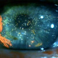 Grenzpunkt Null.Herbst in Peking- Blade Runner by Grenzpunkt Null Sound