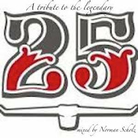 A tribute to Bar 25 by Norman Scholz