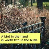 A Bird In The Hand Is Worth Two In The Bush. by Felix Becker