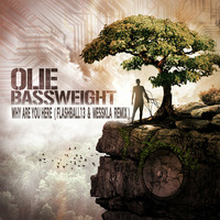 Olie Bassweight - Why are you here (Flashball13 &amp; Messkla remix) by F13