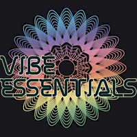 Vibe Essentials Mix Sessions Episode 4 Waffle & Hazard! b2b DJ Jack-Jack by Hartshorn
