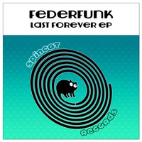 A LONG HISTORY // LAST FOREVER EP // SPINCATRECORDS 2014 by FederFunk