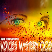 VOICES MYSTERY-003 episode by Andrew Wonderfull