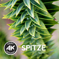 SpitZe by andy kennedy