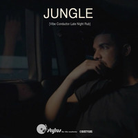 Jungle (Vibe Conductor Late Night Rub) by DJ Stylus