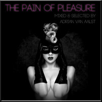 The Pain Of Pleasure (SONIC LOVE MIX) by Adrian Van Aalst