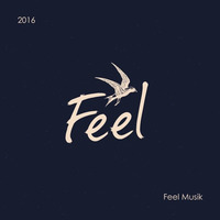 Feel Festival 2016 (vinyl only) by Ole Niedermauntel
