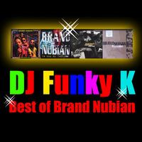 Funky K - Brand Nubian Liveset Mix by DJ Funky k