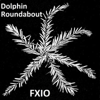 FXIO - Dolphin Roundabout by Ionitsch Xaver Frank
