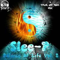 Balance of Life Vol.2 by Slee-P