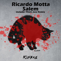Ricardo Motta - Salem (Original Mix)OUT NOW!!! Klexos Records by Caroline Silva