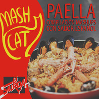MashCat - Paella 2012 (Continuous Mix) by MashCat