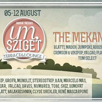 Sziget Festival 2013 (Urimuri Stage, day -1) by DJ Szett