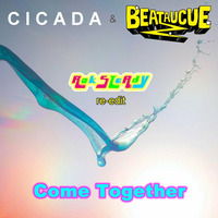 Cicada &amp; BeatauCue - Come Together (Rok STeAdY edit) FREE DL by Rok STeAdY