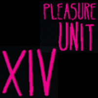 TSBiN @ Pleasure Unit 2013 Kesselhaus Singwitz by TSBiN aka TeeSeN & SchuBi