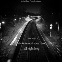 Haiku #139: insomnia / the train tracks are silent / all night long