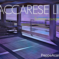 DGroove.Vdj MACCARESE LIDO SummerLounge 2016.Vol1  (PeppeAcamporaMix) by PeppeAcampora