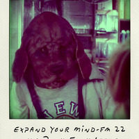Expand Your MInd - FM 22 The Punk Funk Issue by alexander expander