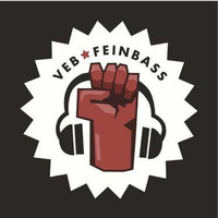 VEB Feinbass - Heimlich-Audio Podcast Juli '14 by Komitee der guten Laune