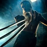 Wolverine by Julien Girauld