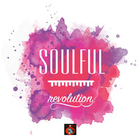 Soulful Revolution by funkji Dj