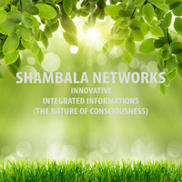 Shambala Networks - Mind State Interval by Olivér Dombi