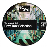 Dave James - The Shandy Mansion - Original Mix [RAW037] by Raw Trax Records