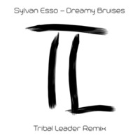 Sylvan Esso - Dreamy Bruises (Tribal Leader Remix) by Tribal-Leader
