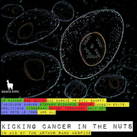 Kicking Cancer In The Nuts - Preview by Pete Le Freq