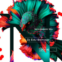 DJ EDU - NOVEMBER MIX 2016 by DJ EDU BERROSPI