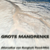 THE VITALIAN BROTHERS - GROTE MANDRENKE (Marcellus von Rungholt Flood-Mix) by LIKEDEELER RECORDINGS