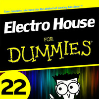 Electro House for Dummies 22 by Kill Yourself