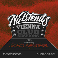 Vienna Club Sessions Vol.1 mixed by Snakin Aykwalker by Snakin Aykwalker