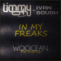 Timmy Trumpet vs I. Gough - In my freaks (Woocean Futuredit Intro Mashup) by Woocean