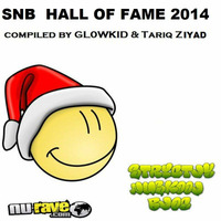 01. SNB Hall of FAME--2014 - mixed by GL0WKiD by Strictly Nuskool Blog