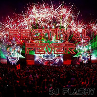 Festival Fever by  DJ Flashy